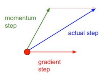 single sgd update with momentum